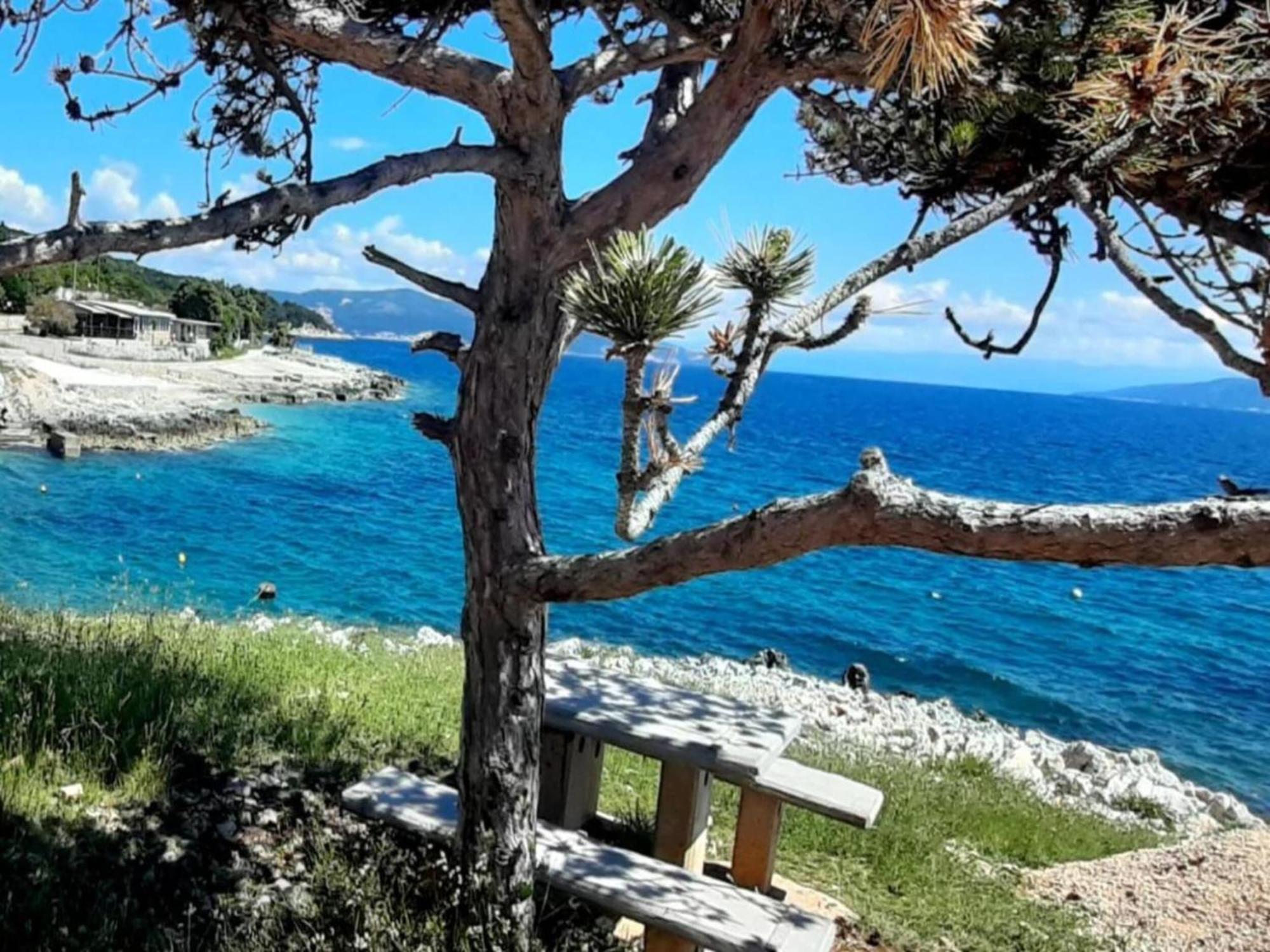 Tranquil Holiday Home In Labin With Private Swimming Pool 외부 사진